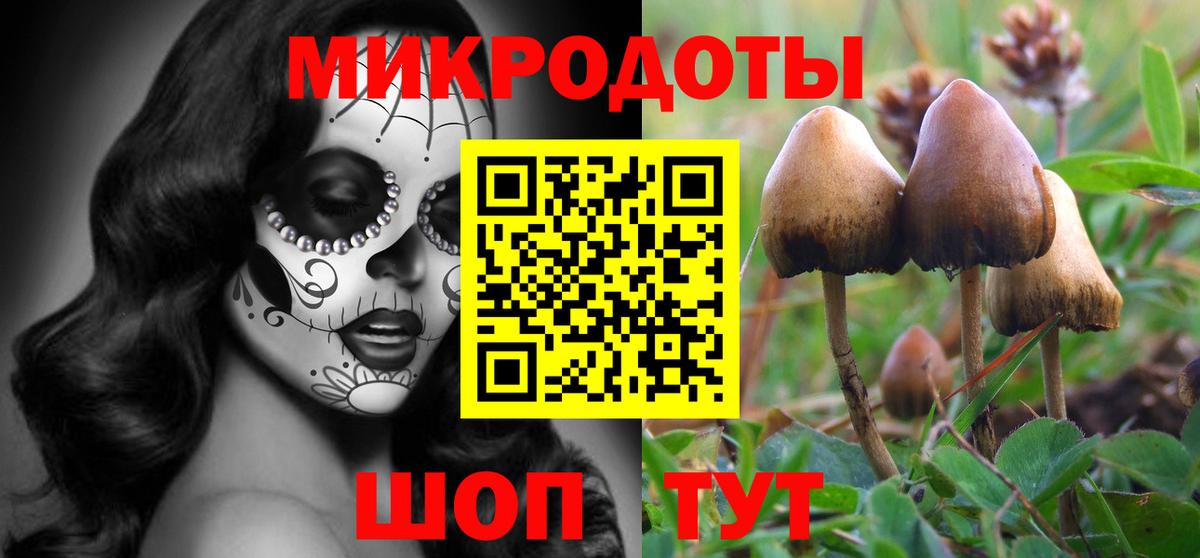 Псилоцибиновые грибы Magic Shrooms  дарнет шоп  Наро-Фоминск  Вход с VPN 